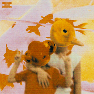 AVjiali成人网站在线观看
